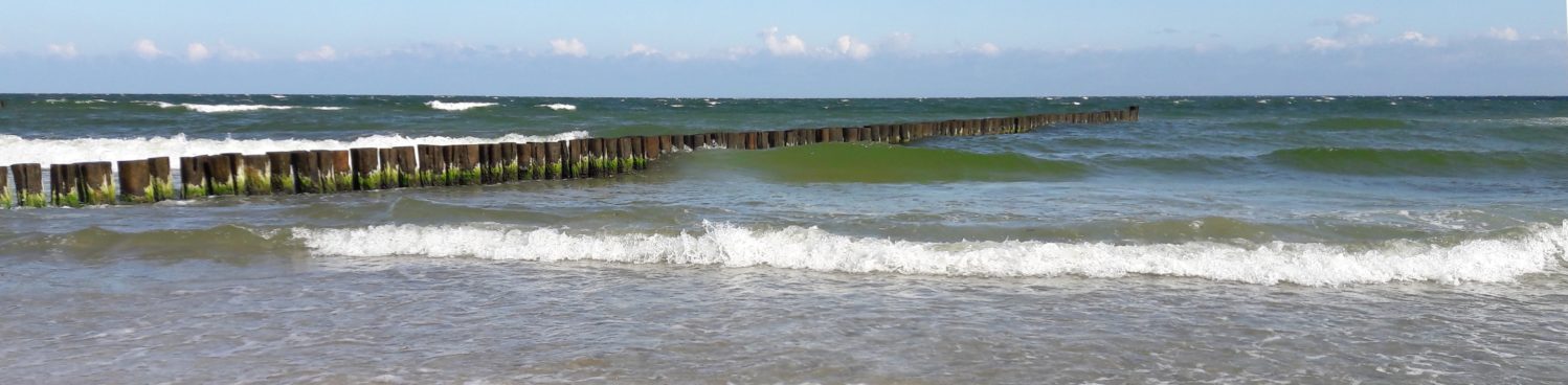 Vitalsport-Zingst – Forum